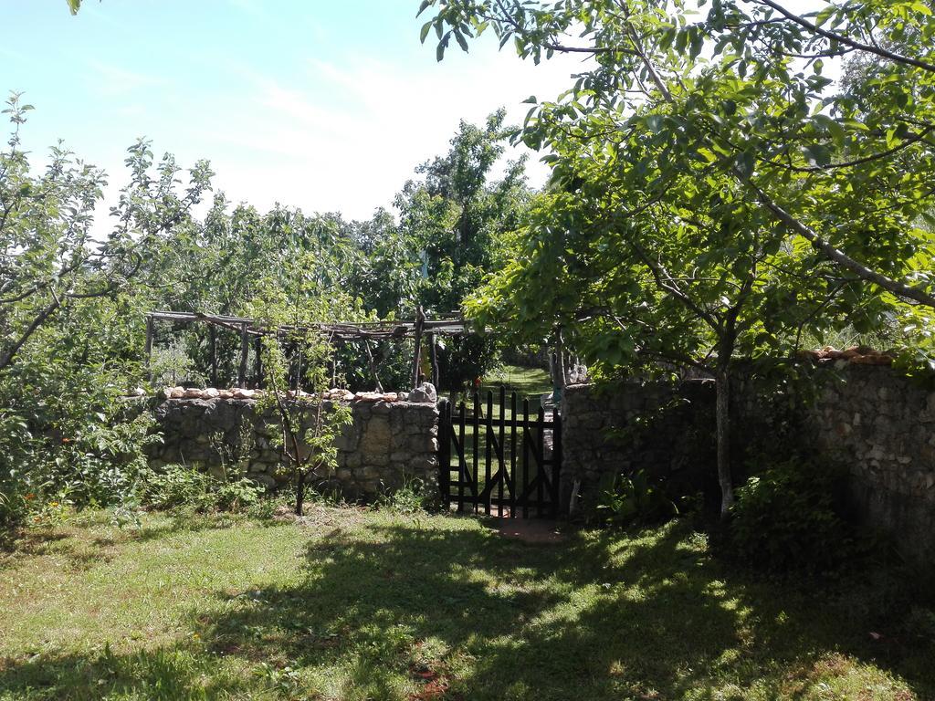Apartments Hatic Drenje  Luaran gambar